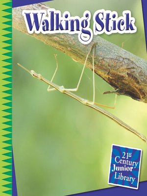 cover image of Walking Stick